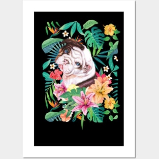 Tropical Seal English Bulldog Posters and Art